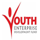 The Youth Enterprise Development Fund